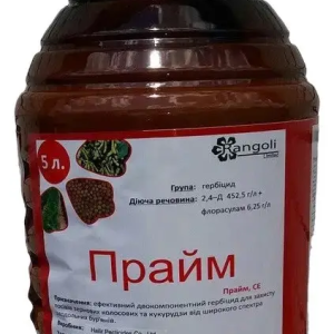 Страховий гербіцид Прайм Rangoli 5 л (2,4-Д 452,5 г/л + флорасулам 6,25 г/л) для зернових проти дводольних