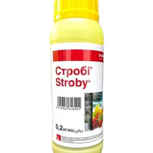 Фунгіцид Стробі — 0,2 кг BASF