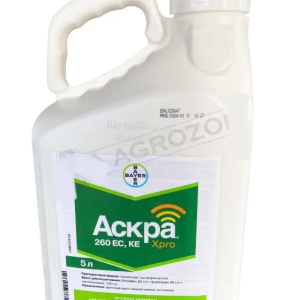 Фунгіцид Аскра Xpro Bayer оригінал 5 л
