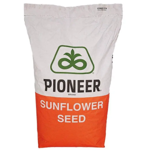 Насіння соняшнику П64ЛП140.P64LP140 під Євролайтинг Pioneer