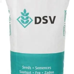 Озимий ріпак Крокодил DSV – гібрид озимого ріпаку